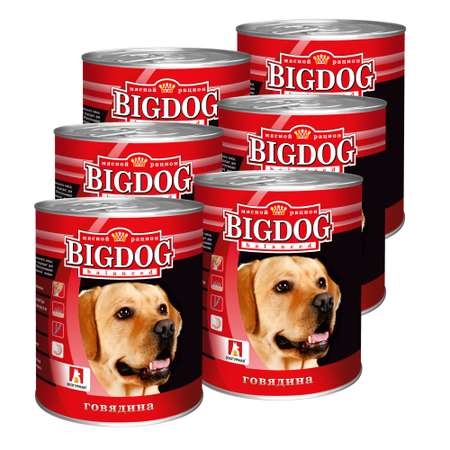 Корм влажный Зоогурман Big Dog Говядина отборная, 850 г х 6 шт.