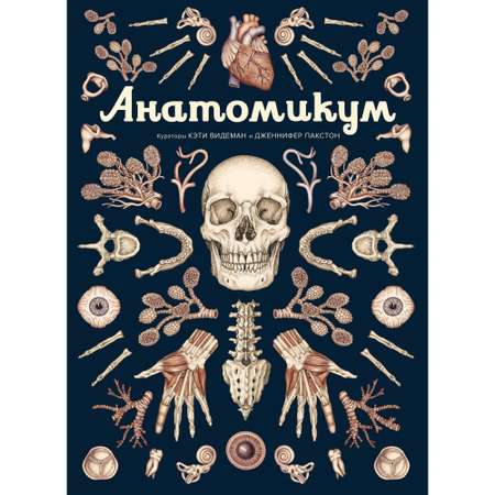 Книга МАХАОН Анатомикум. Энциклопедии