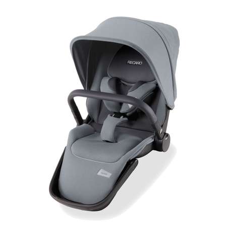 Коляска 2 в 1 Recaro Celona шасси Black Prime Silent Grey