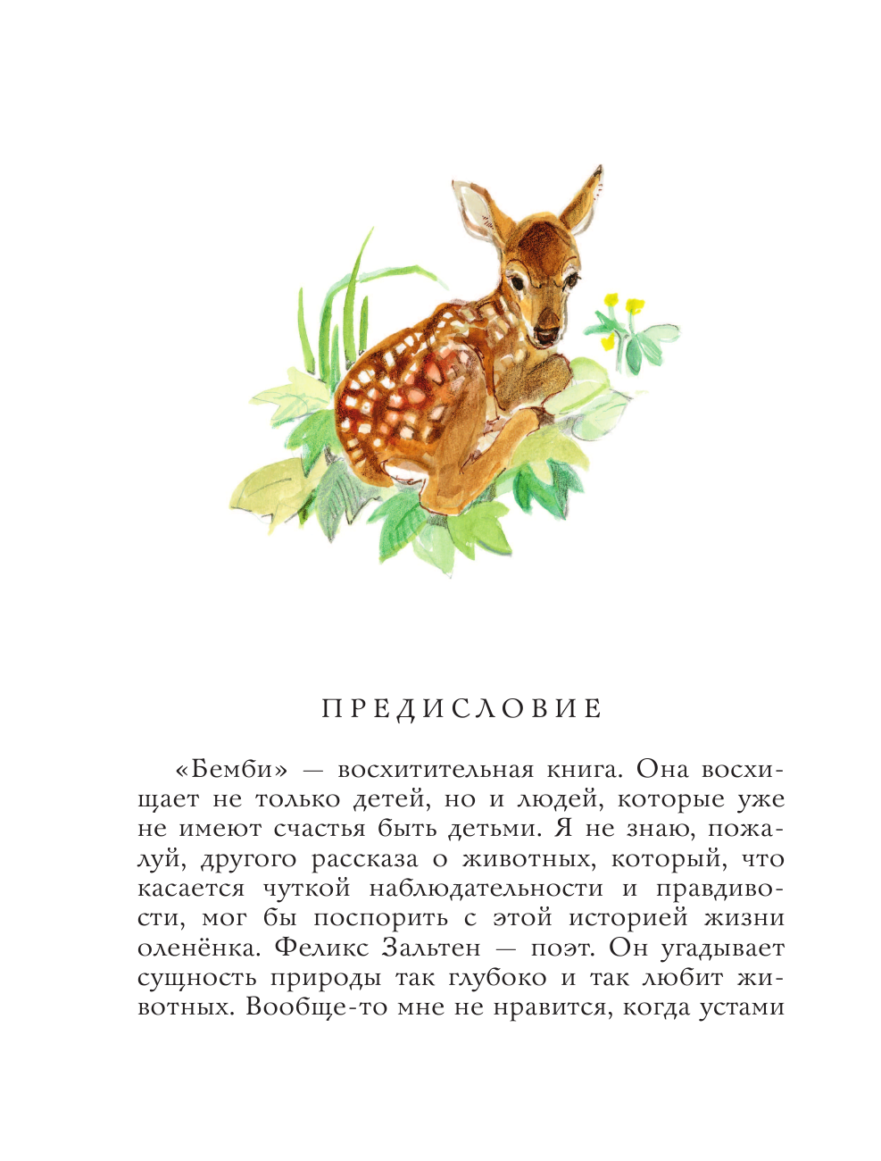 Книга АСТ Бемби - фото 12