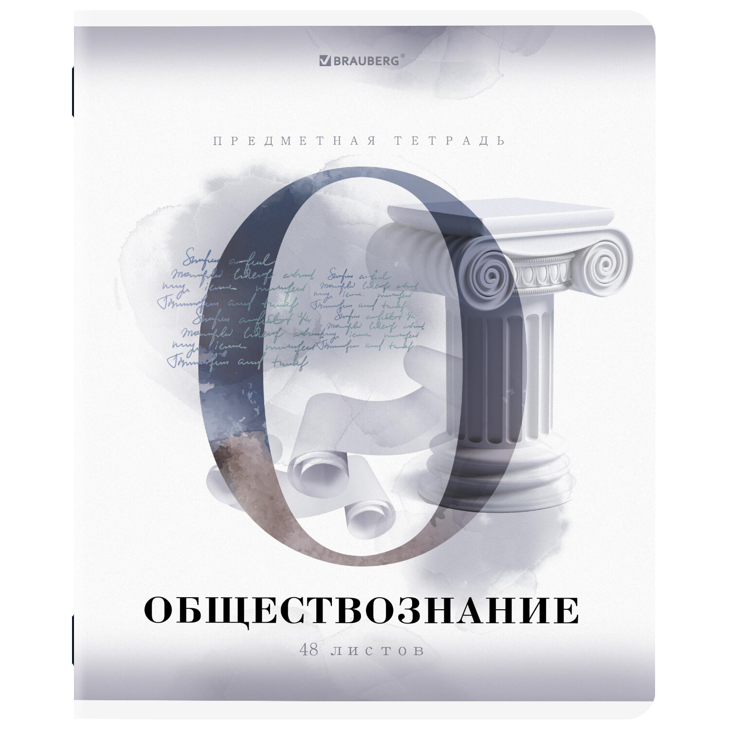 Тетради предметные Brauberg набор 48 листов в клетку и линейку 12 штук - фото 14