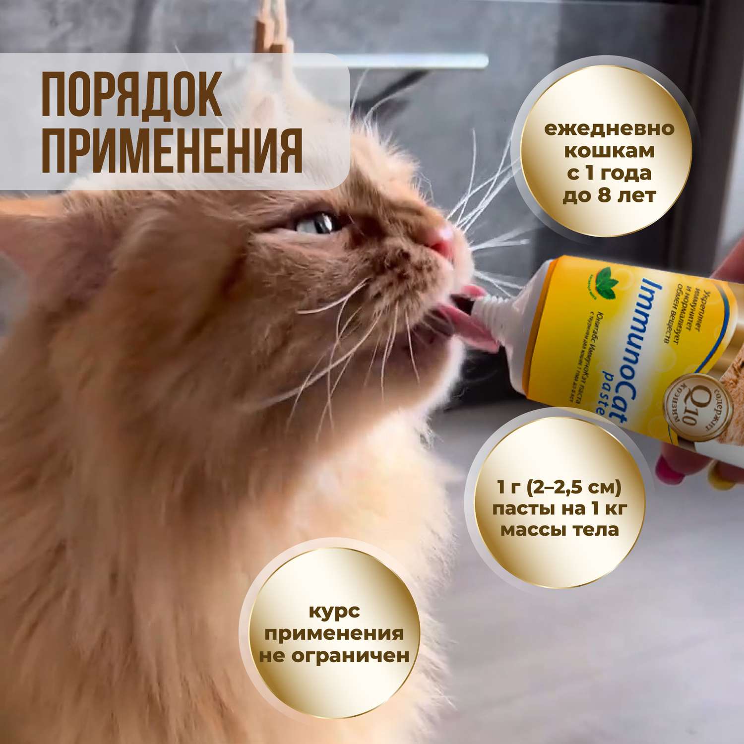 Витамины для кошек Unitabs Immuno Cat с Q10 паста 120мл - фото 7