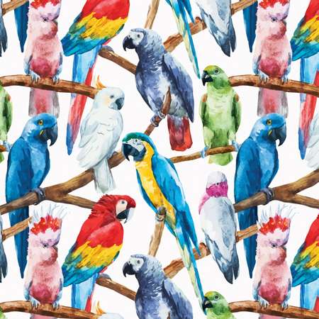 Декоративная подушка-валик JoyArty Коллекция попугаев