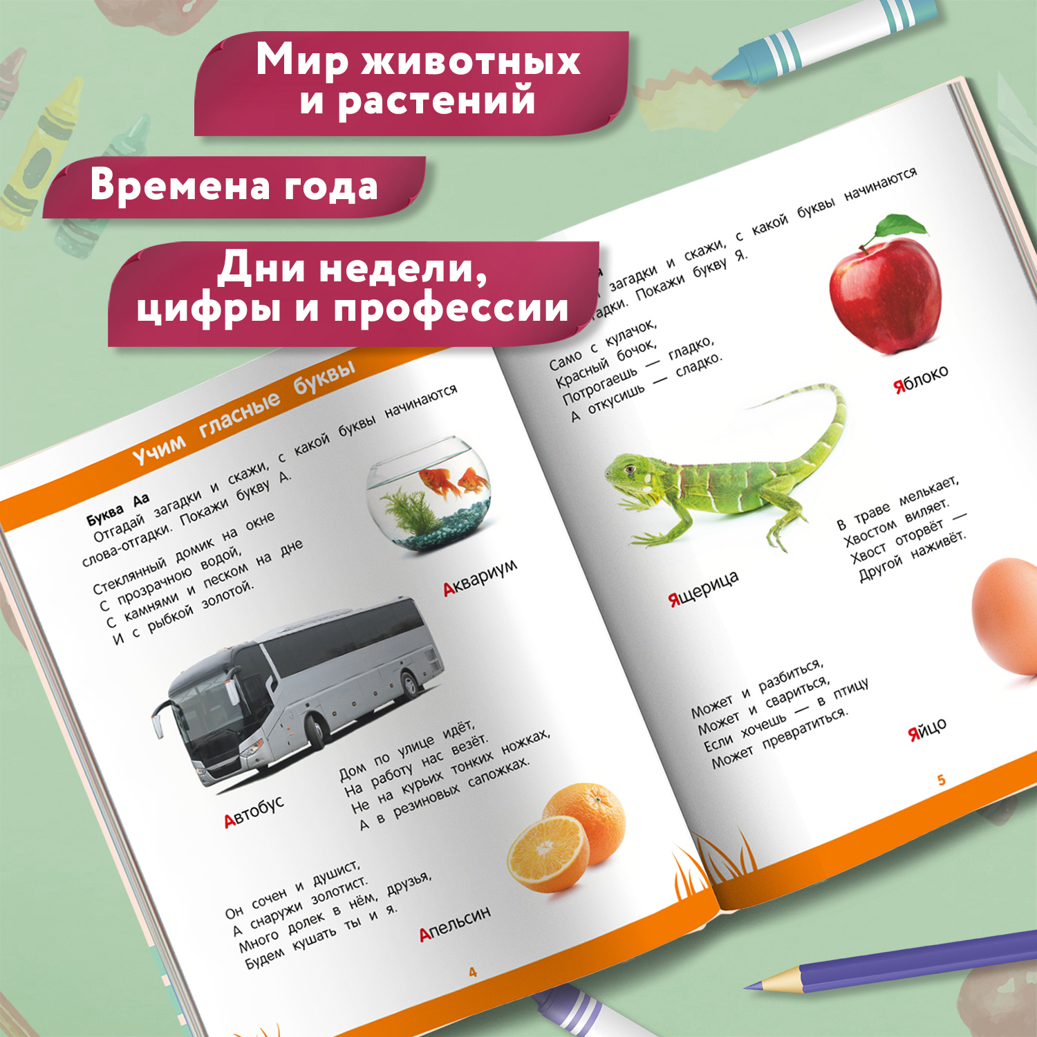 Книга Феникс Первая книга знаний Энциклопедия дошкольника 4-5 лет - фото 4