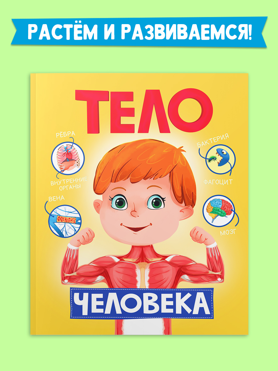 Книга Проф-Пресс Тело Человека - фото 2