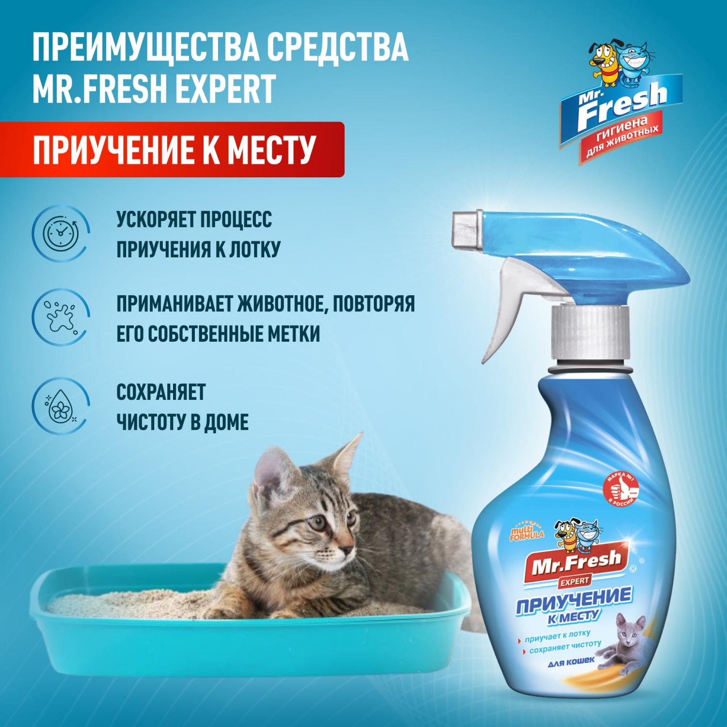 Mr.Fresh Expert Приучение к Месту для кошек спрей (200 мл)