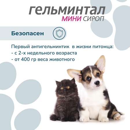 Сироп для щенков и котят Гельминтал mini 10мл