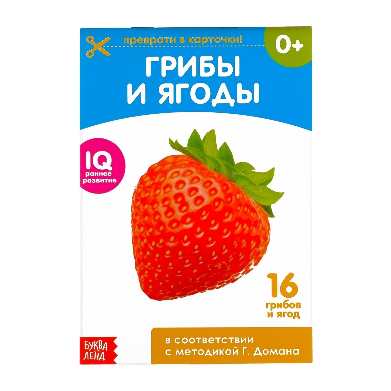 Обучающие карточки Буква-ленд Грибы и Ягоды в соответствии с методикой Г.Домана - фото 1