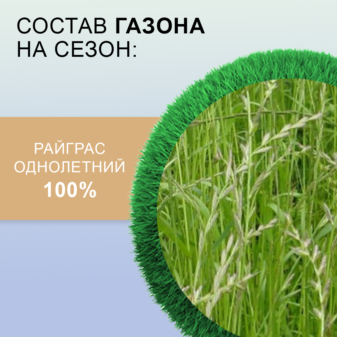 Семена газона Мираторг Газон на сезон 1 кг - фото 3