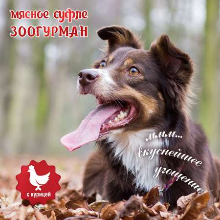 Корм влажный Зоогурман Мясное суфле с курицей 100 гр х 20 шт