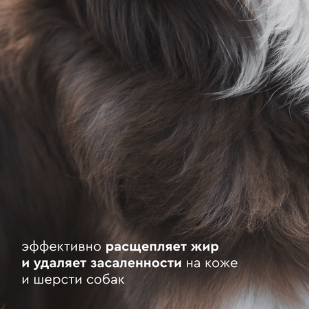 Шампунь для собак ProAnimal 1:50 ExtraClean Универсальный профессиональный очищающий