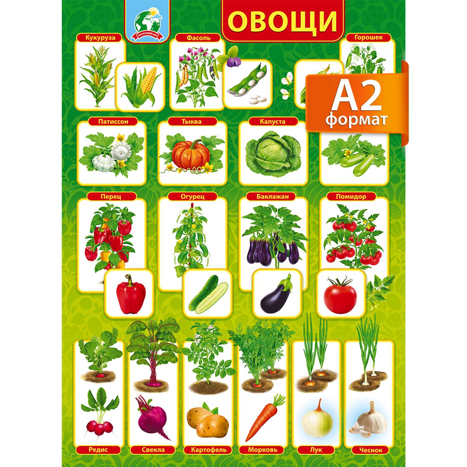 Плакат обучающий на стену Мир поздравлений овощи на грядке с картинками и названиями - фото 1