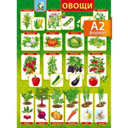 Плакат обучающий на стену Мир поздравлений овощи на грядке с картинками и названиями