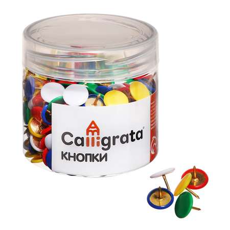 Кнопки канцелярские Calligrata 12 мм в пластиковой тубе 300 штук