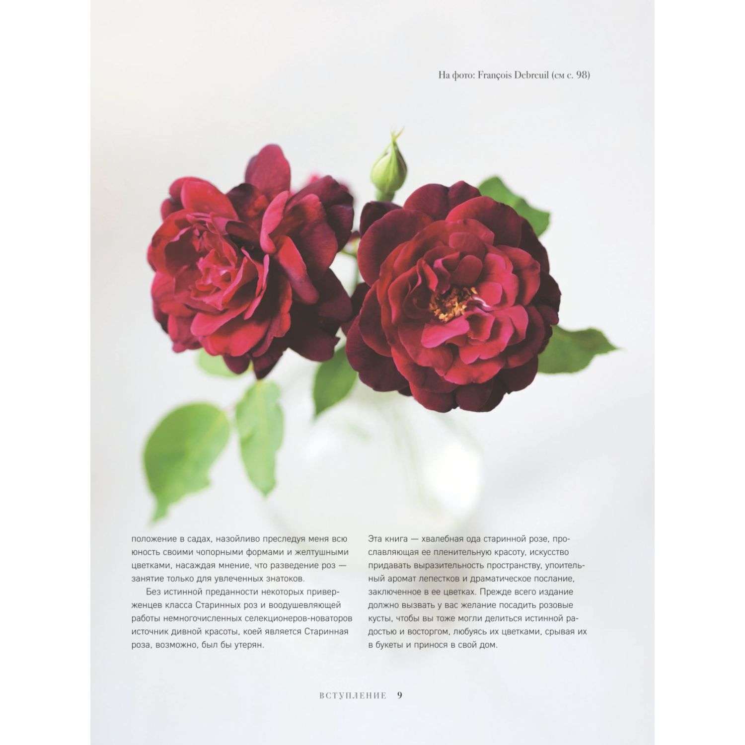 Книга БОМБОРА Розы Восхитительные цветы для дома и сада - фото 4