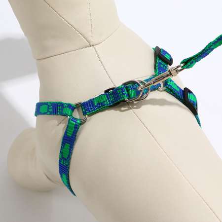 Комплект поводок и шлейка Пижон «Большая лапа» ширина 1 см поводок 120 см шлейка 25-36 см сине-зелёный