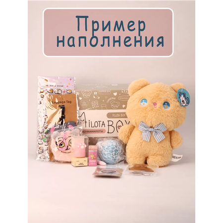 Подарочный бокс для девочки iLikeGift плюшевый