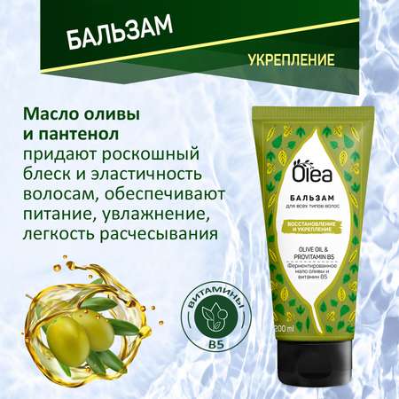 Набор OLIVE COLLECTION OLEA Шампунь и бальзам для всех типов волос