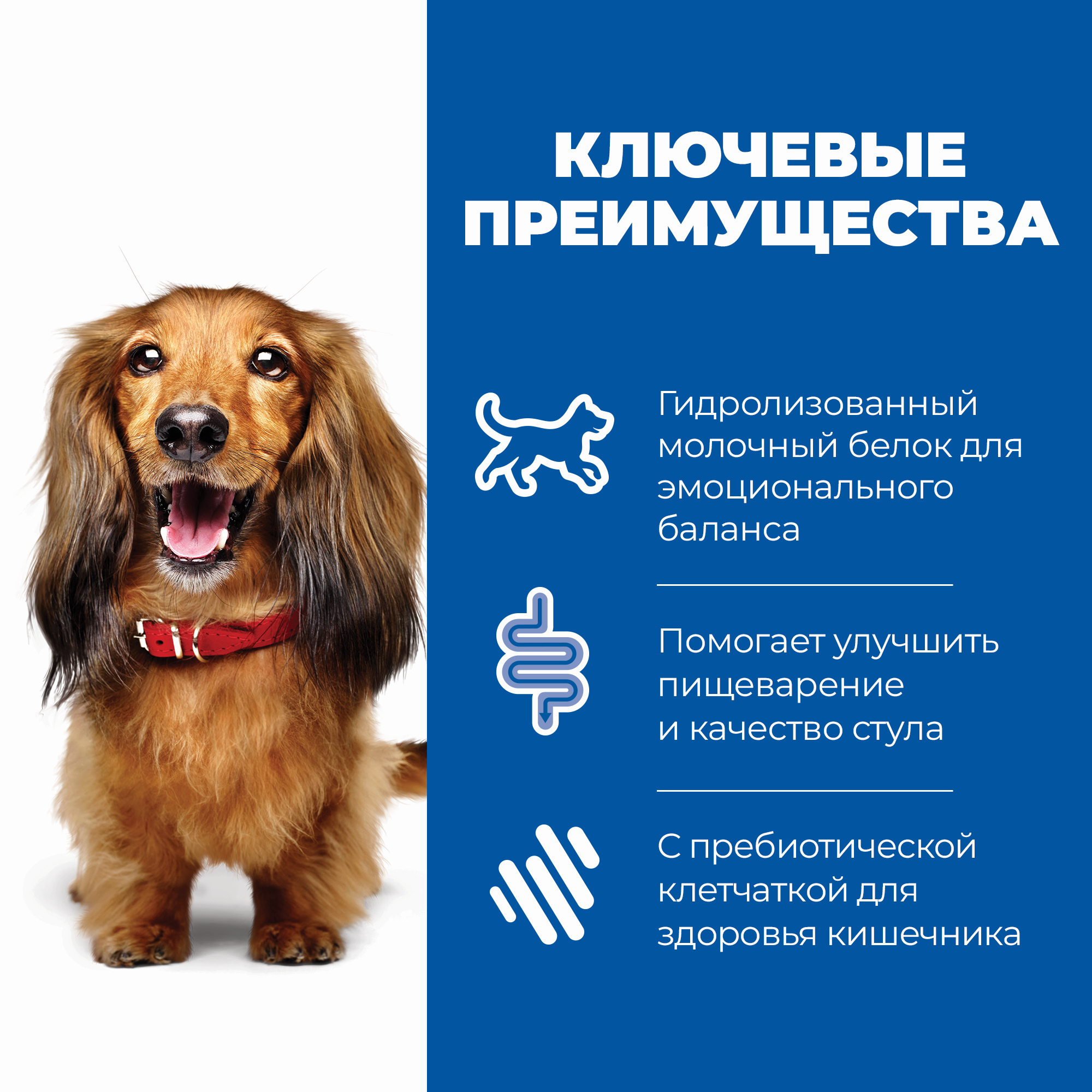 Корм для собак HILLS 1,5кг Prescription Diet i/d Stress Mini Digestive Care для мелких пород диетический с курицей - фото 4